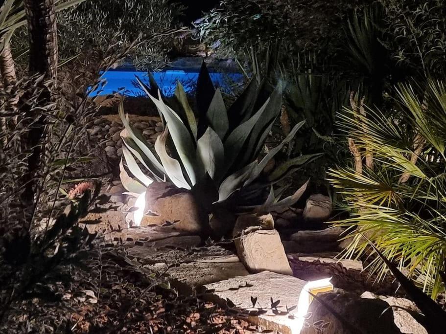 Une Oasis au Pays de Cézanne Aix-en-Provence Exterior foto